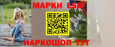 трава Гатчина