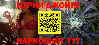 трава Гатчина