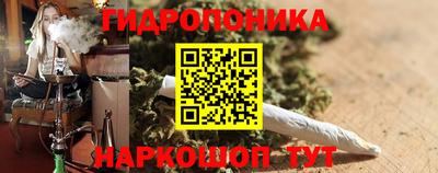 трава Гатчина