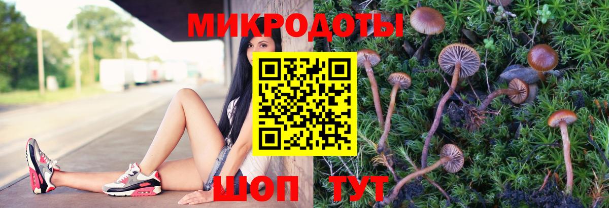 Лесной  Галлюциногенные грибы мицелий  Вход с VPN 