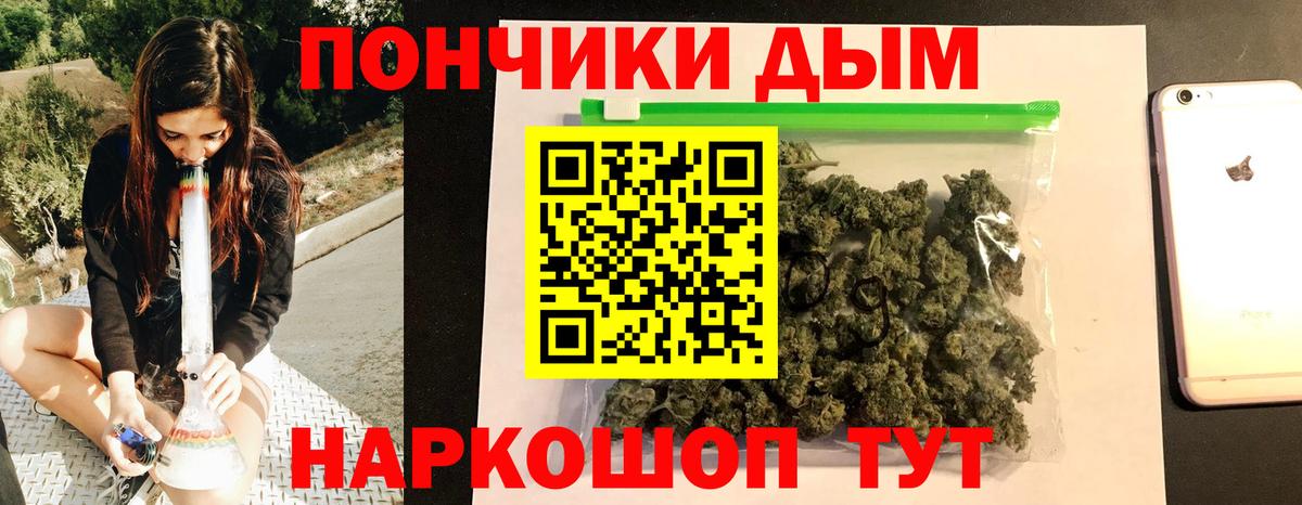 Шишки марихуана гибрид Лесной